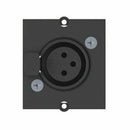 Bachmann modul 1xXLR 917.024